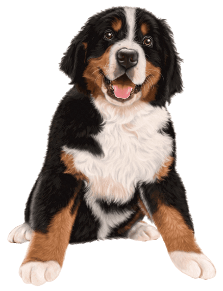 Reporting For Doody golden-retriever-background-bernese-mountain-dog-german-shepherd-puppy-rough-collie-greater-swiss-mountain-dog-entlebucher-mountain-dog-pet-png-clip-art-removebg-preview Madison WI Pooper Scooper Service - Reporting For Doody  