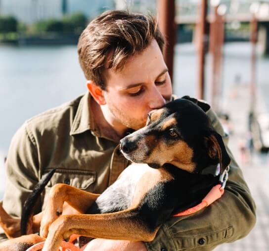 Reporting For Doody 66_Dog_Walker-Owner Truck Landing Page  