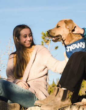 Reporting For Doody 66_Dog_Walker-Testimonials_1 Truck Landing Page  