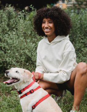Reporting For Doody 66_Dog_Walker-Testimonials_2 Truck Landing Page  